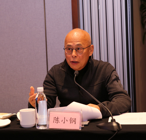 A2 專(zhuān)家組組長(cháng)陳小鋼講話(huà).jpg